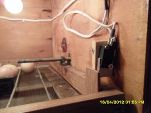 On the Incubator machine